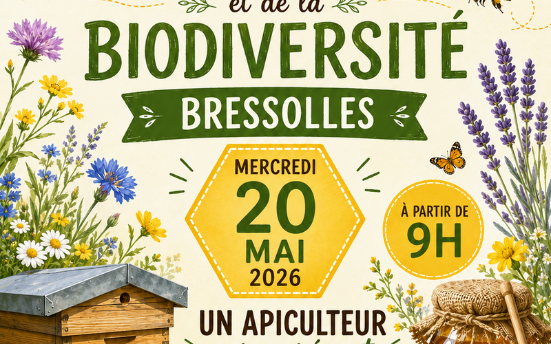 Toutes les actualités de Bressolles